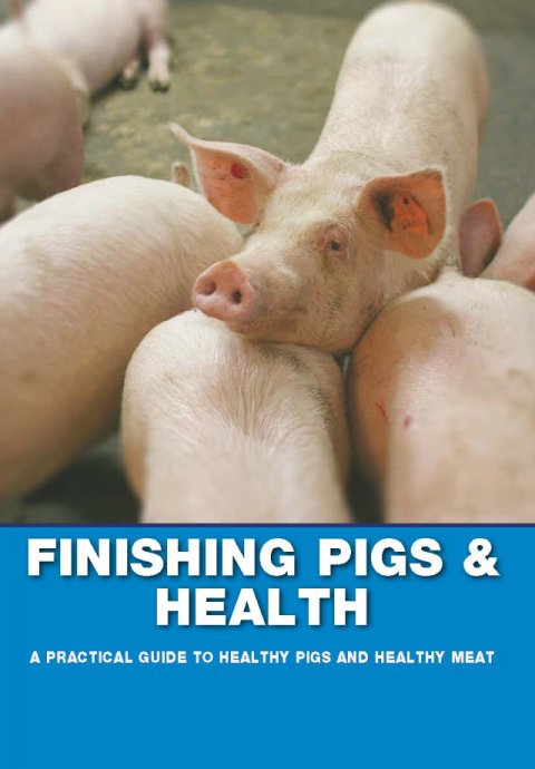 Finishing Pigs & Health