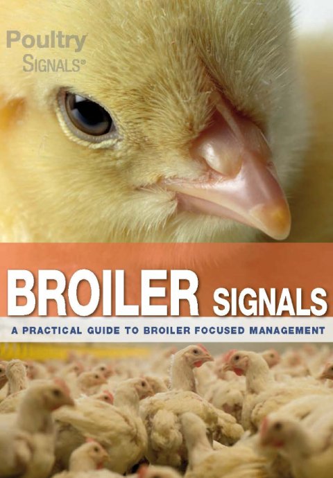 Broiler Signals