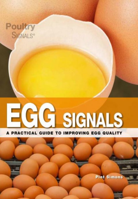 Egg Signals