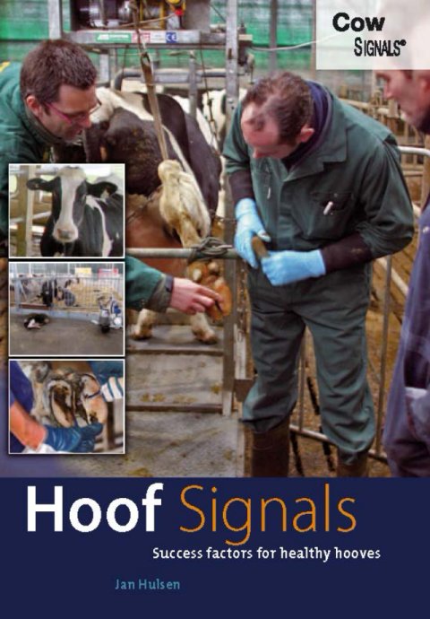 Hoof Signals