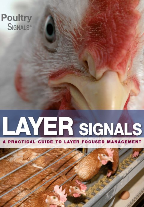 Layer Signals