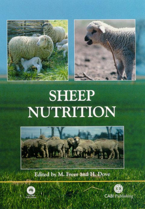 Sheep Nutrition