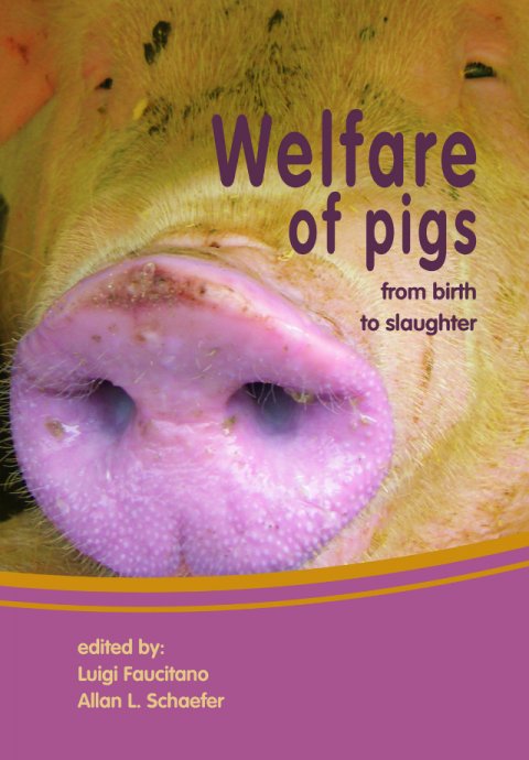 Welfare of Pigs: From Birth to Slaughter