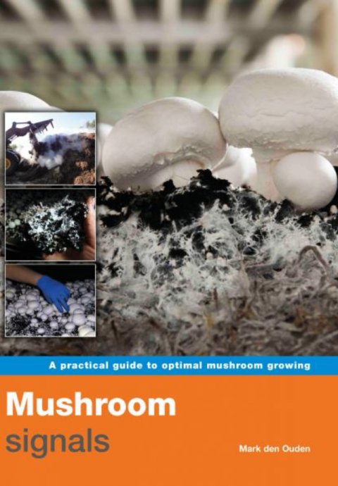 Mushroom Signals