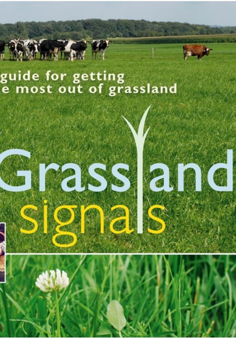 Grassland Signals