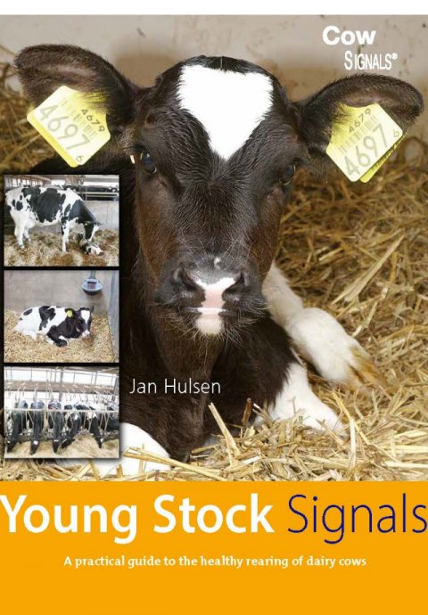 Young Stock Signals