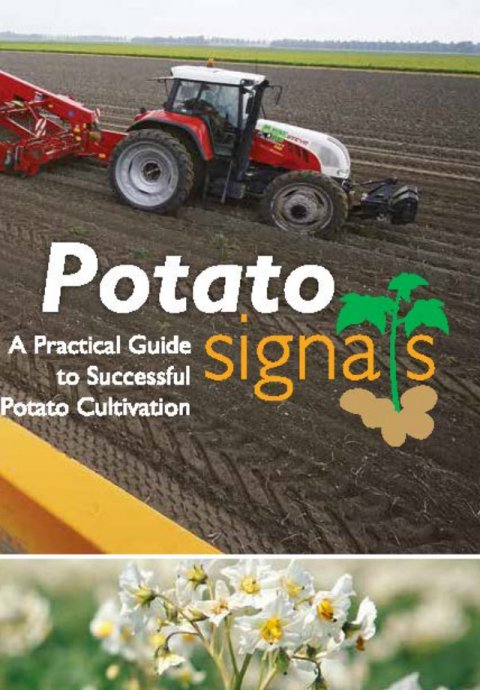 Potato Signals