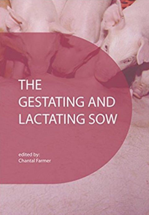 The gestating and lactating sow