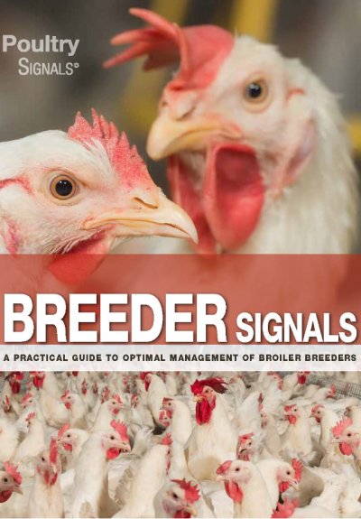 Breeder Signals