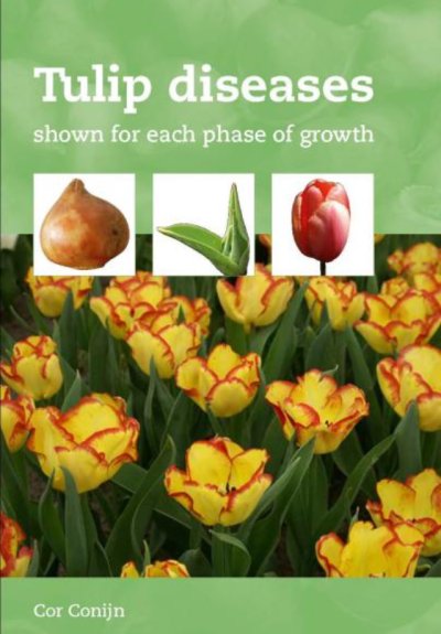Tulip Diseases 