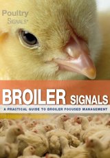 Broiler Signals by Maarten de Gussem, Koos van Middlekoop