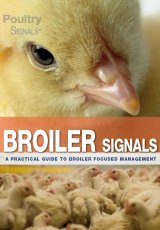 Broiler Signals by Maarten de Gussem, Koos van Middlekoop