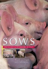 Sows by Kees Scheepens and Marrit of Engen 