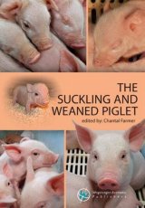 The Suckling and Weaned Piglet by Chantal Farmer